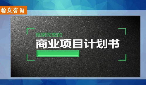 婁底電子商務(wù)項(xiàng)目計(jì)劃書專業(yè)策撰服務(wù)指南 找誰做更靠譜？
